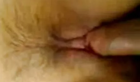 ابنة الرئيس السابق ABS أهم شيء في حياته لفترة طويلة نعرف أن درجة حرارة أفلام سكس مصري جديدة عالية جدا!